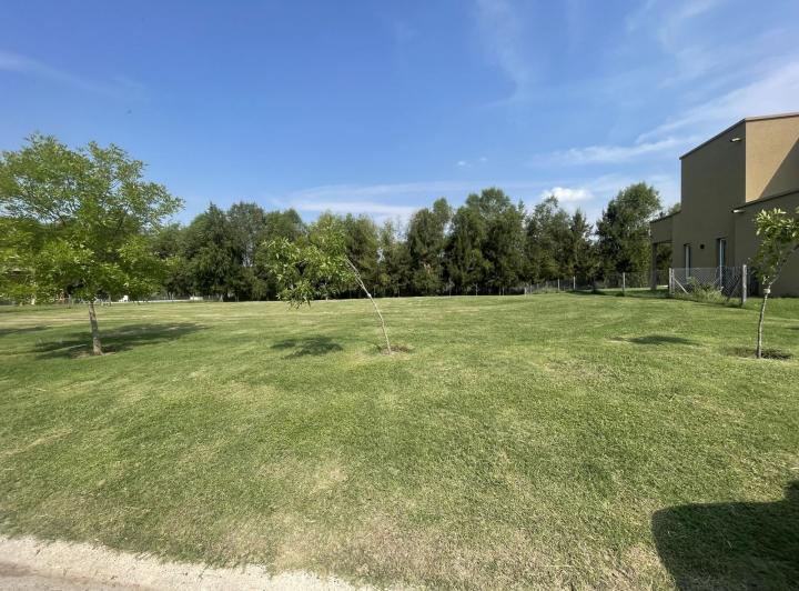 Terreno · 781m²