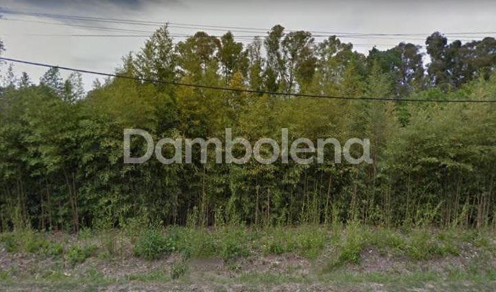 Terreno · 2831m²