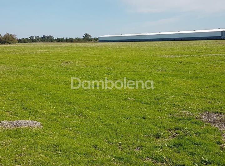 Terreno · 91703m²
