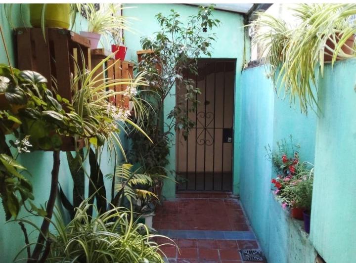 PH · 47m² · 2 Ambientes