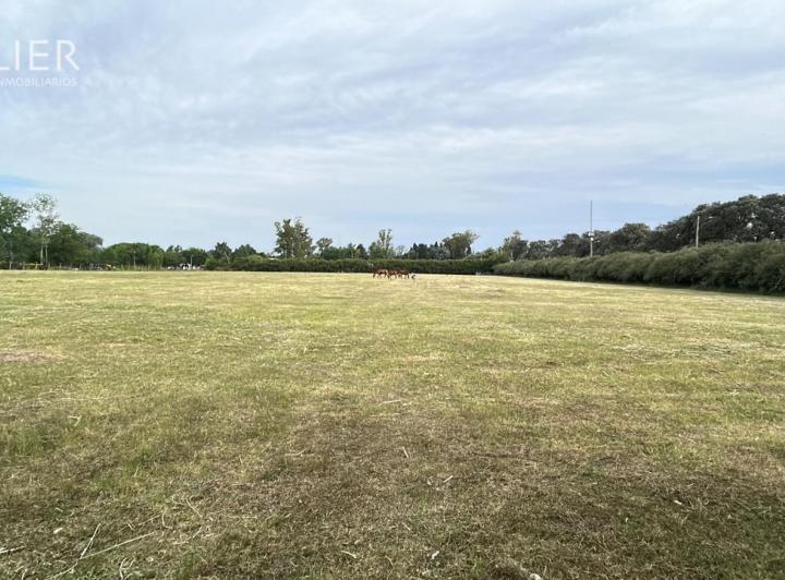 Terreno · 26000m²
