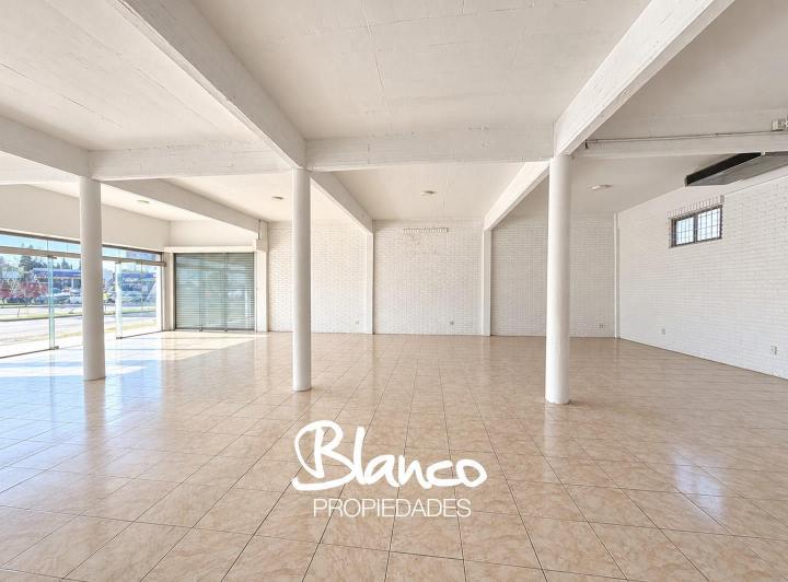 Local comercial · 300m² · 3 Cocheras