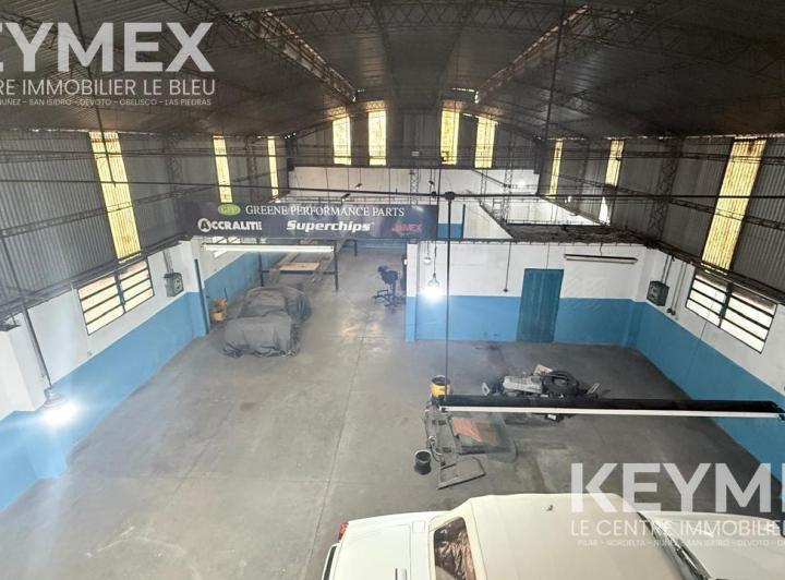 Bodega-Galpón · 535m²