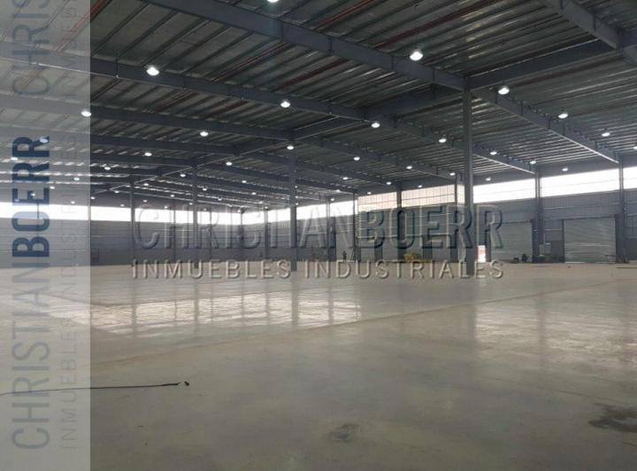Bodega-Galpón · 5000m² · 1 Ambiente