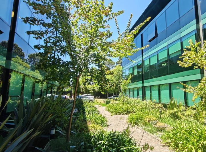 Oficina comercial · 220m² · 4 Cocheras