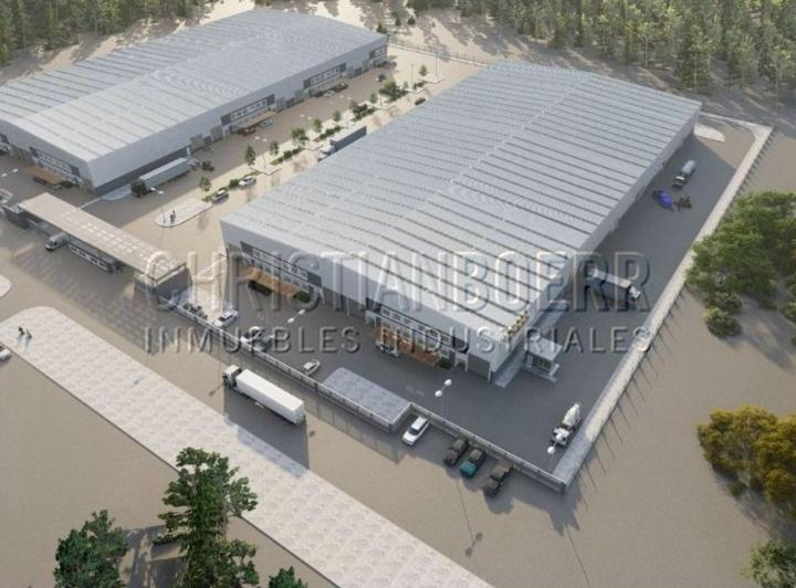 Bodega-Galpón · 1000m² · 1 Ambiente