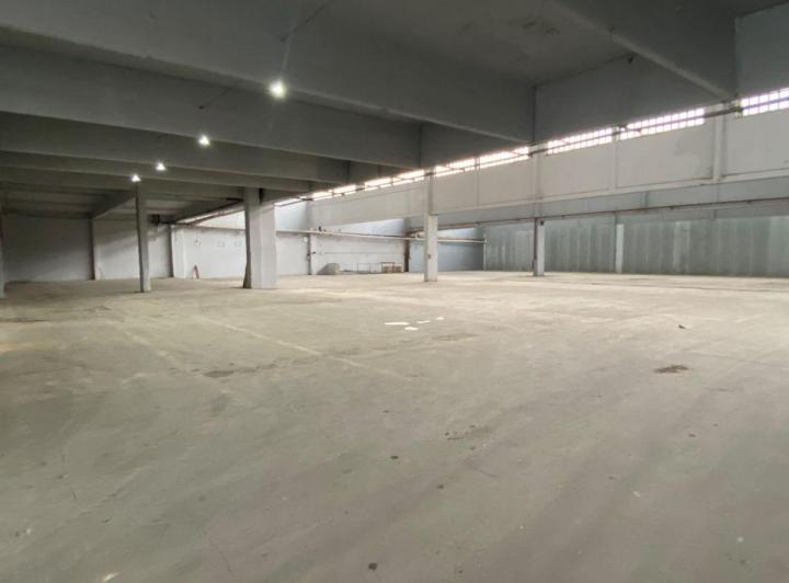 Bodega-Galpón · 2200m²