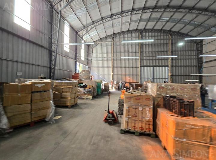 Bodega-Galpón · 1100m²