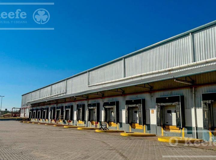 Depósito · 15451m²