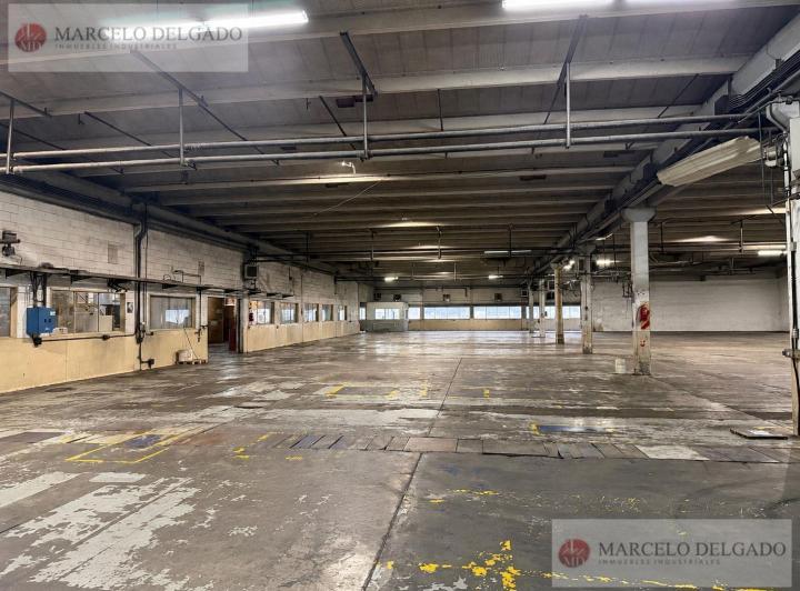 Bodega-Galpón · 1000m²