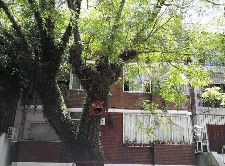 Departamento · 40m² · 2 Ambientes