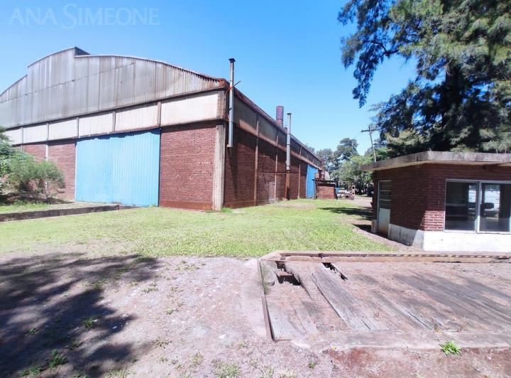 Bodega-Galpón · 3000m²