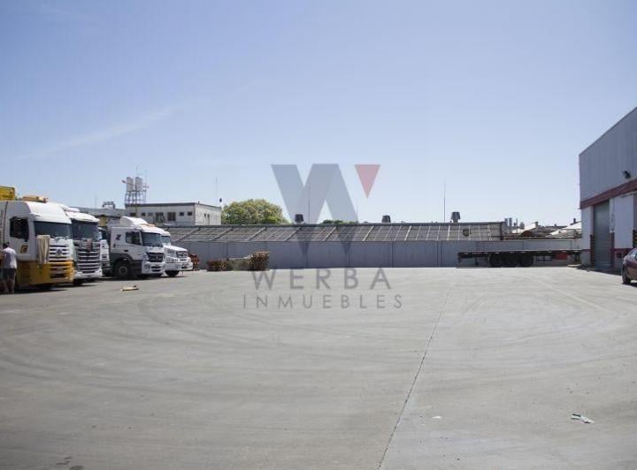 Bodega-Galpón · 3100m²