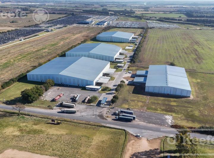 Bodega-Galpón · 11500m²