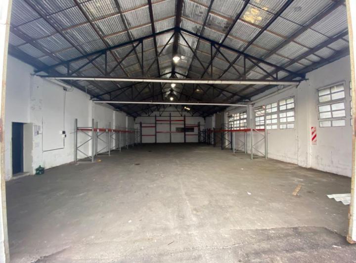 Bodega-Galpón · 300m²