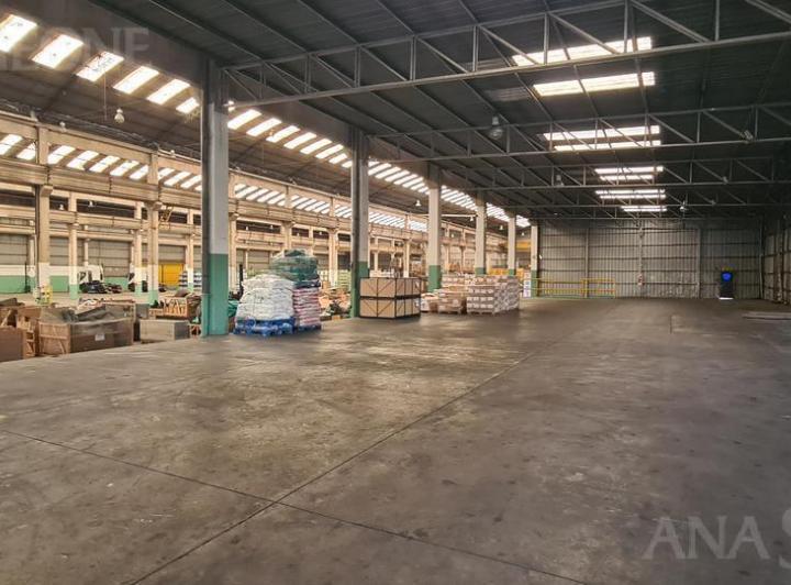Bodega-Galpón · 4000m²