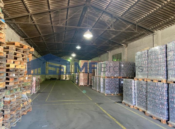 Bodega-Galpón · 300m²