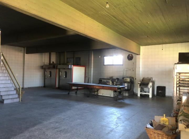 Bodega-Galpón