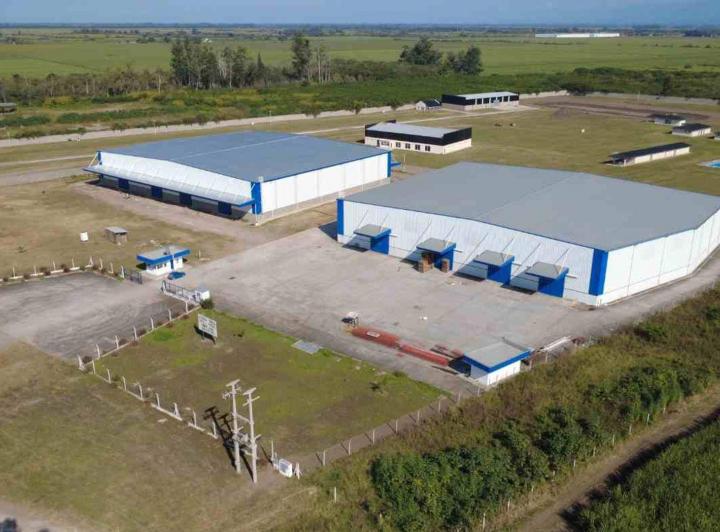 Bodega-Galpón · 10000m²