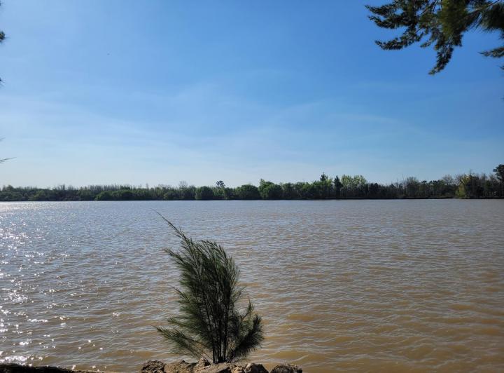 Terreno · 29000m²