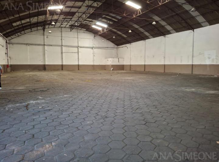 Bodega-Galpón · 1185m²