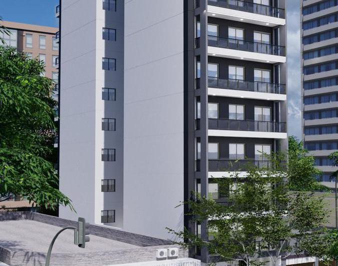 Desarrollo vertical