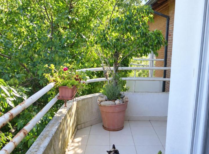 Departamento · 58m² · 3 Ambientes · 1 Cochera