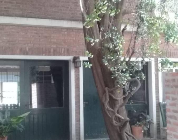 PH · 241m² · 3 Ambientes