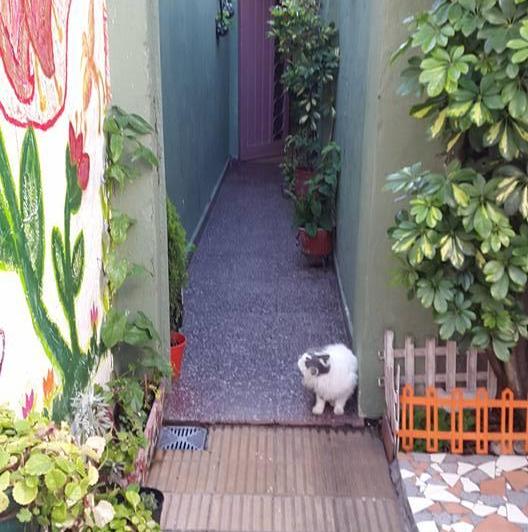 PH · 54m² · 2 Ambientes