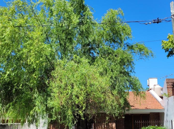Casa · 80m² · 3 Ambientes · 2 Cocheras