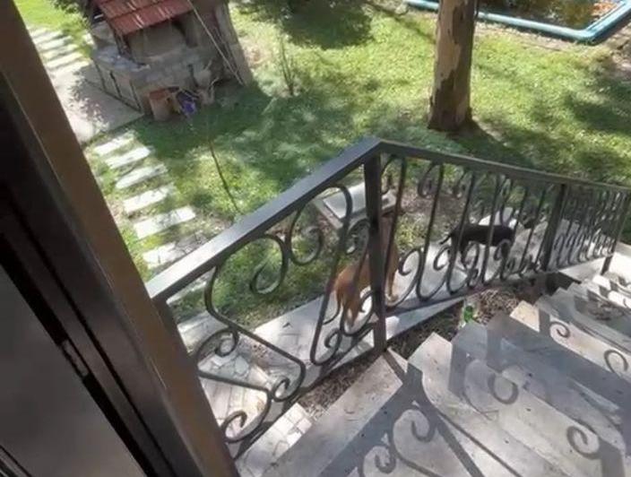 Casa · 100m² · 1 Ambiente