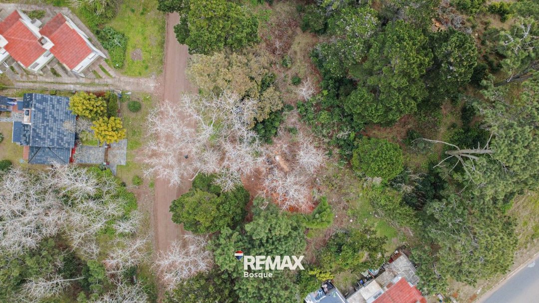 VENTA DE LOTE EN SANTA TERESITA