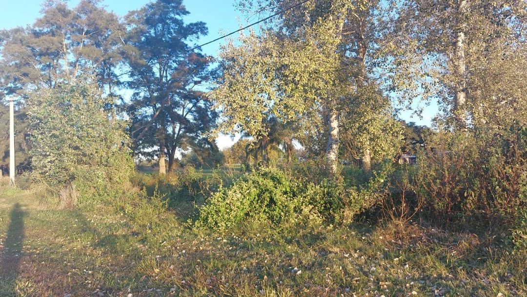 VENTA / LOTE / NUEVO TORINO / OPORTUNIDAD