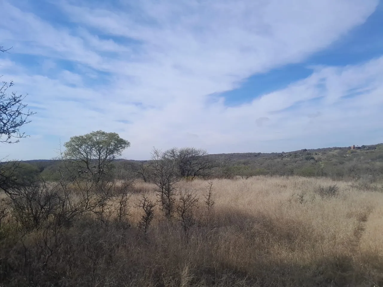 Venta terreno 25.000 m2 Las Vertientes de LA GRANJA