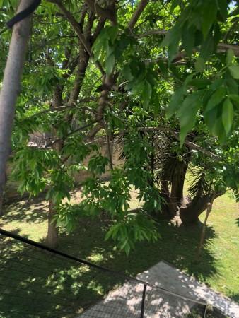 Departamento · 360m² · 3 Ambientes