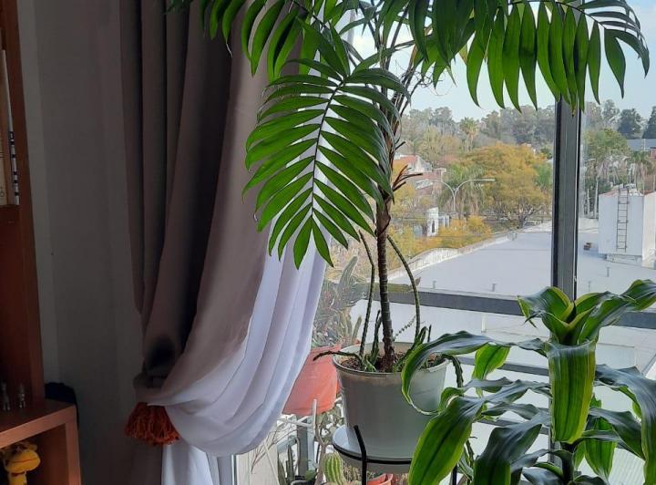 Departamento · 38m² · 2 Ambientes