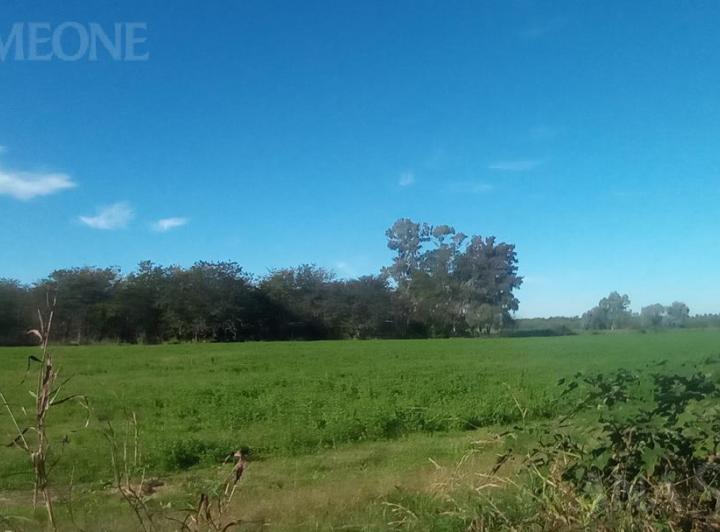Terreno · 62500m²
