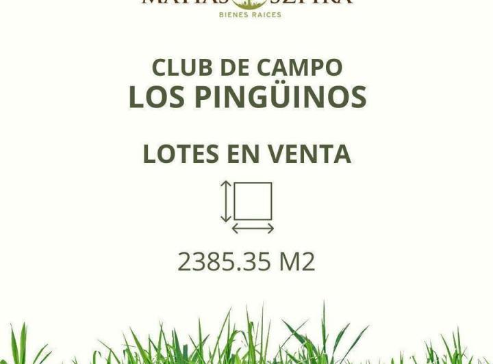 Terreno · 2385m²