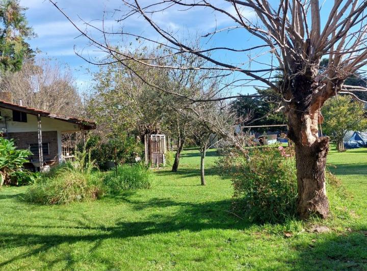 Terreno · 60m²