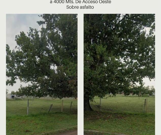 Terreno · 320m²
