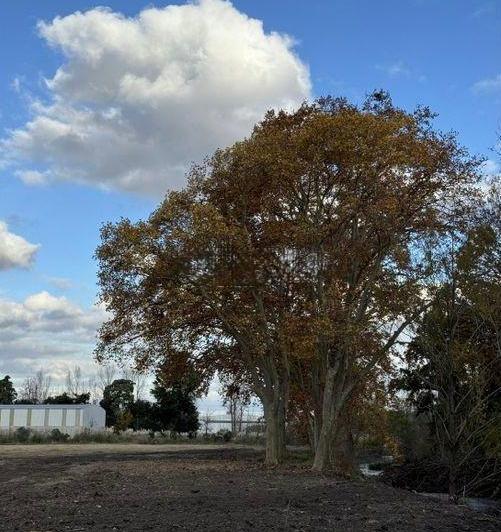 Terreno · 5000m²