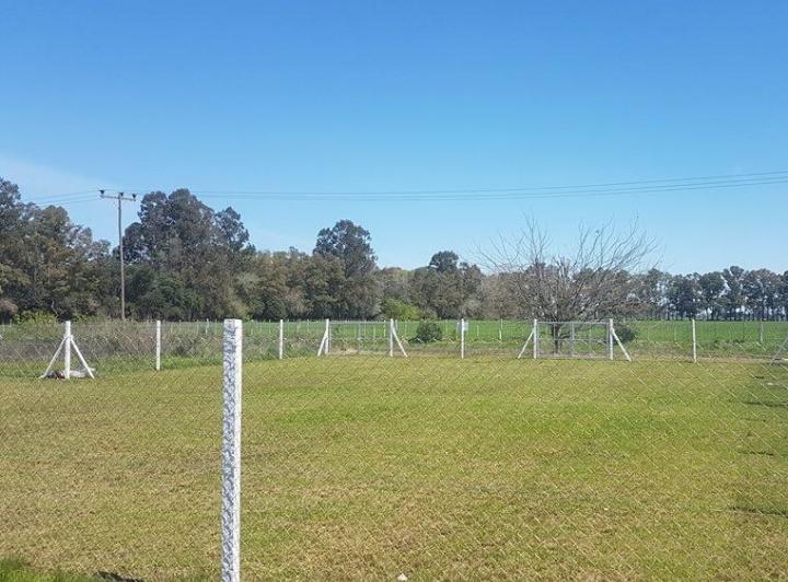 Terreno · 350m²