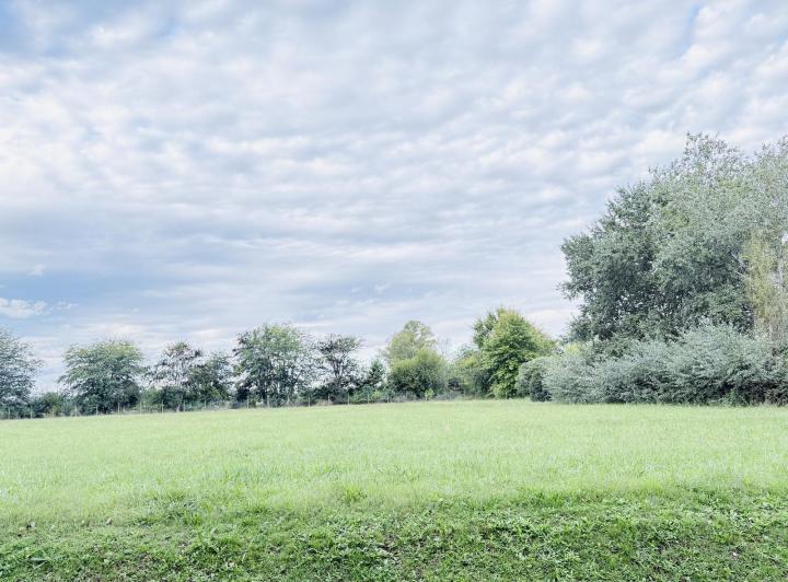 Terreno · 10867m²