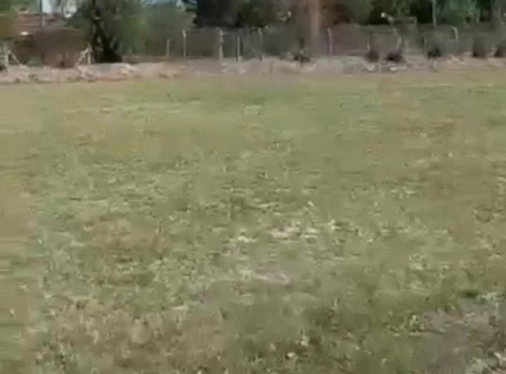 Terreno · 1000m²