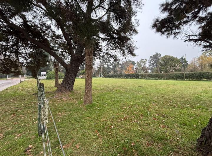 Terreno · 1508m²