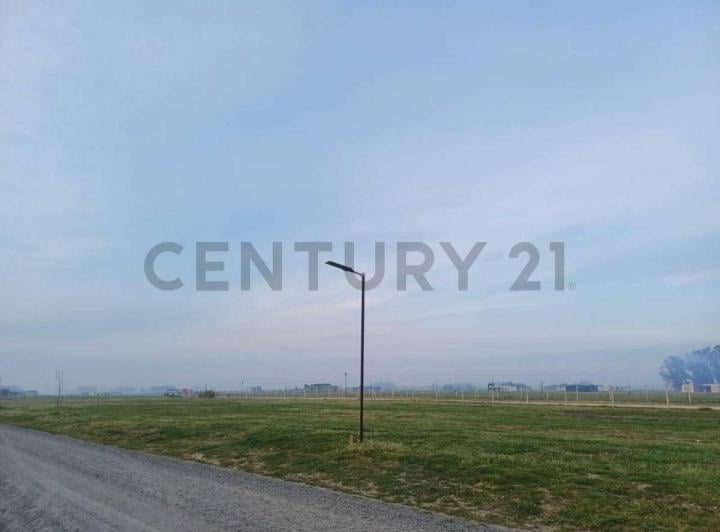 Terreno · 1000m²