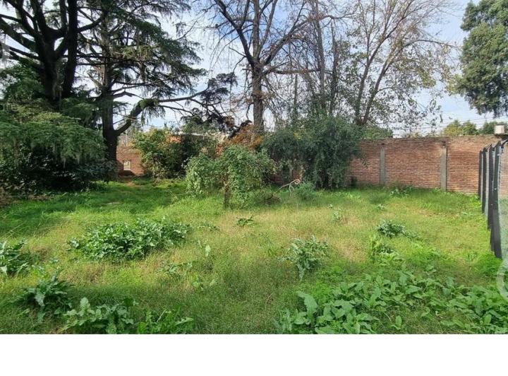 Terreno · 323m²