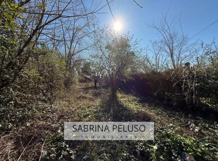 Terreno · 462m²