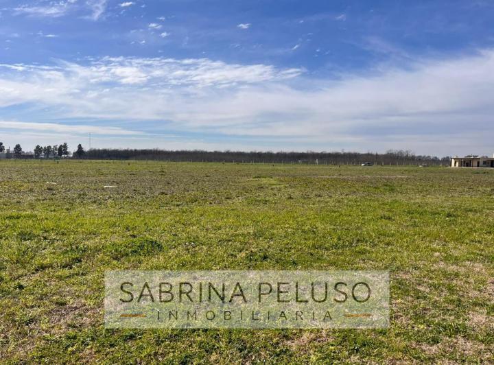 Terreno · 1072m²