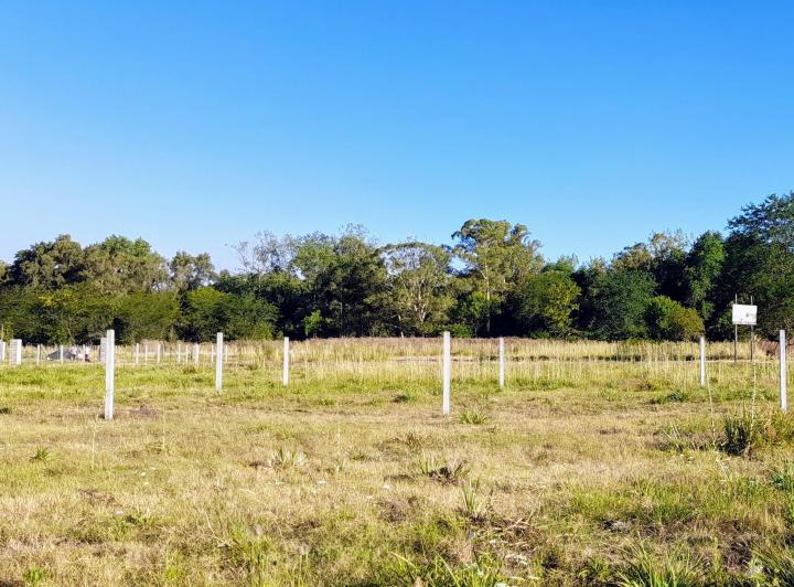 Terreno · 1m²